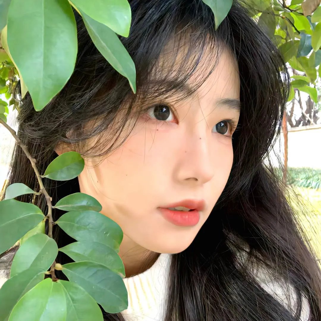 球场上的朝阳
