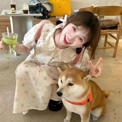 等风来